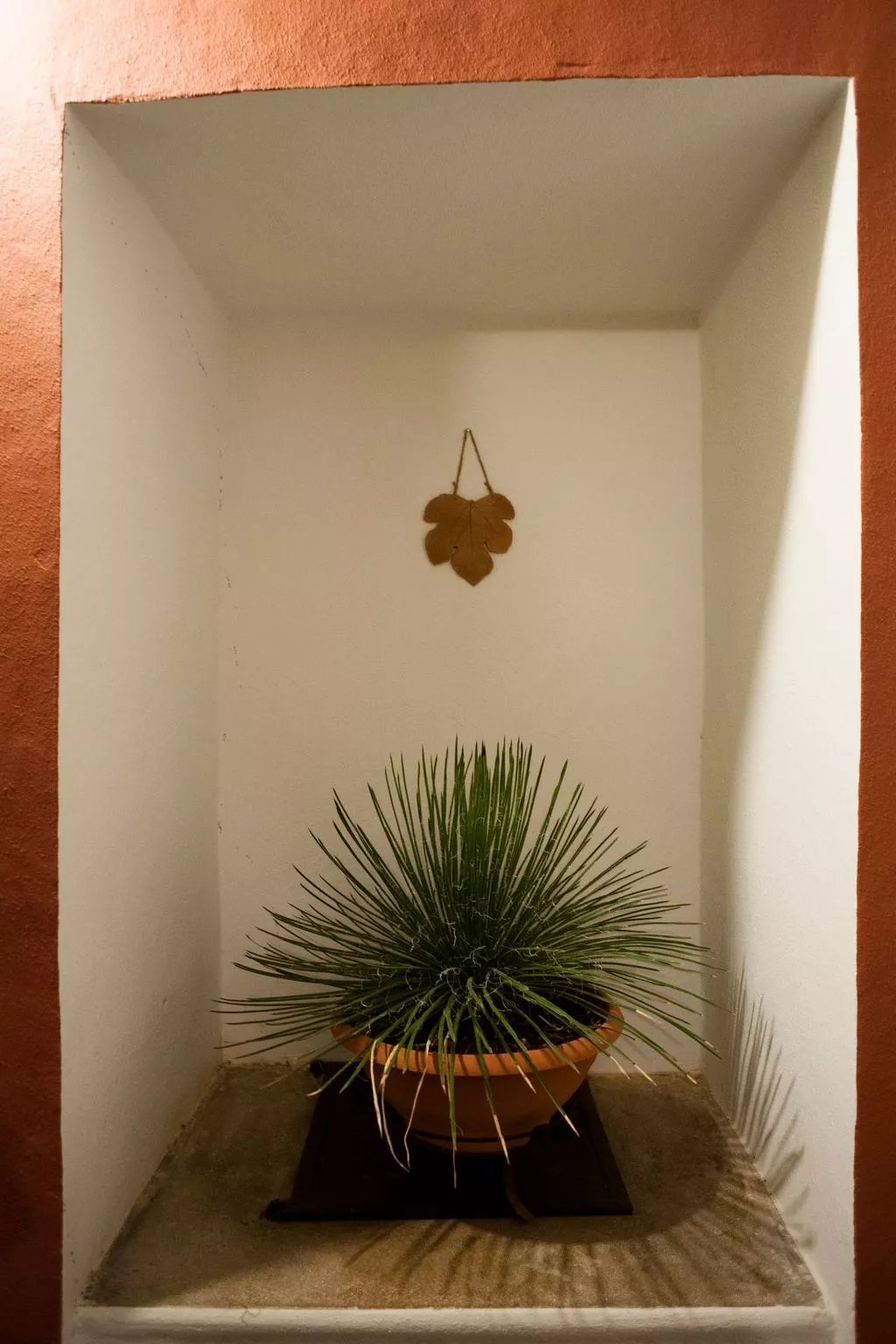 Wohnung 'Il Pergoletto' mit Terrasse-Image-tags.info