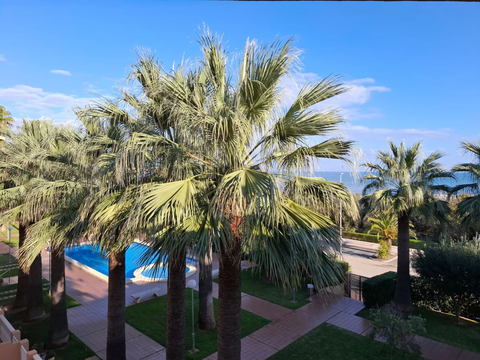 Wohnung Stella, 1. Reihe Meerblick und Palmen