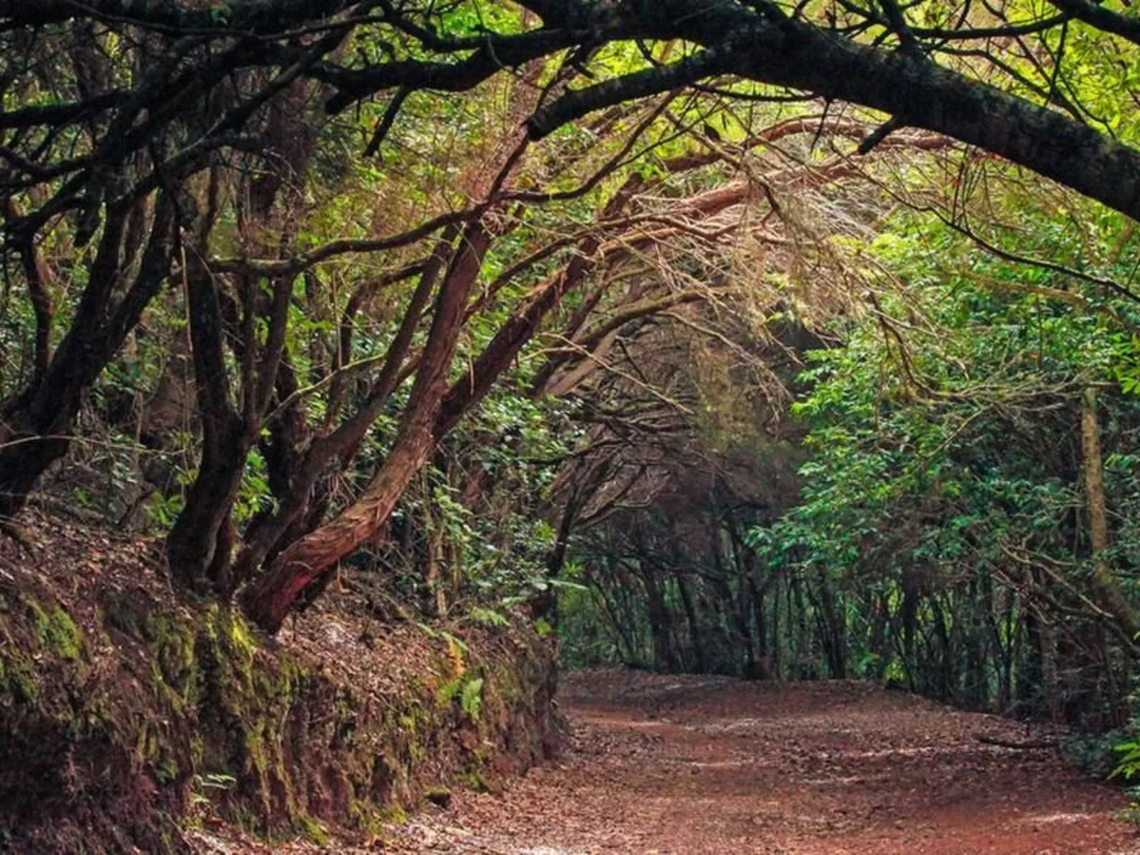 Schönes Haus mit Pool und Garten auf Teneriffa-Image-tags.info