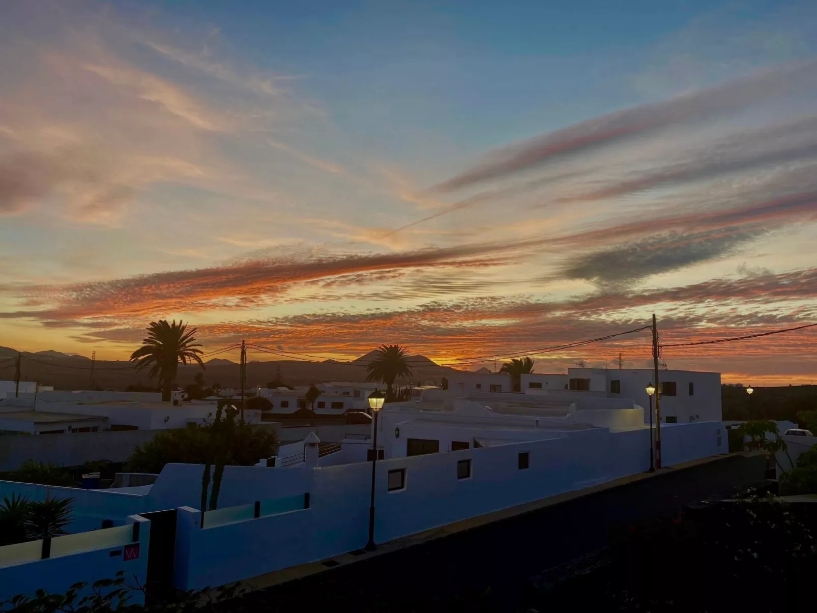 Casa Árbol del Fuego-Image-tags.info