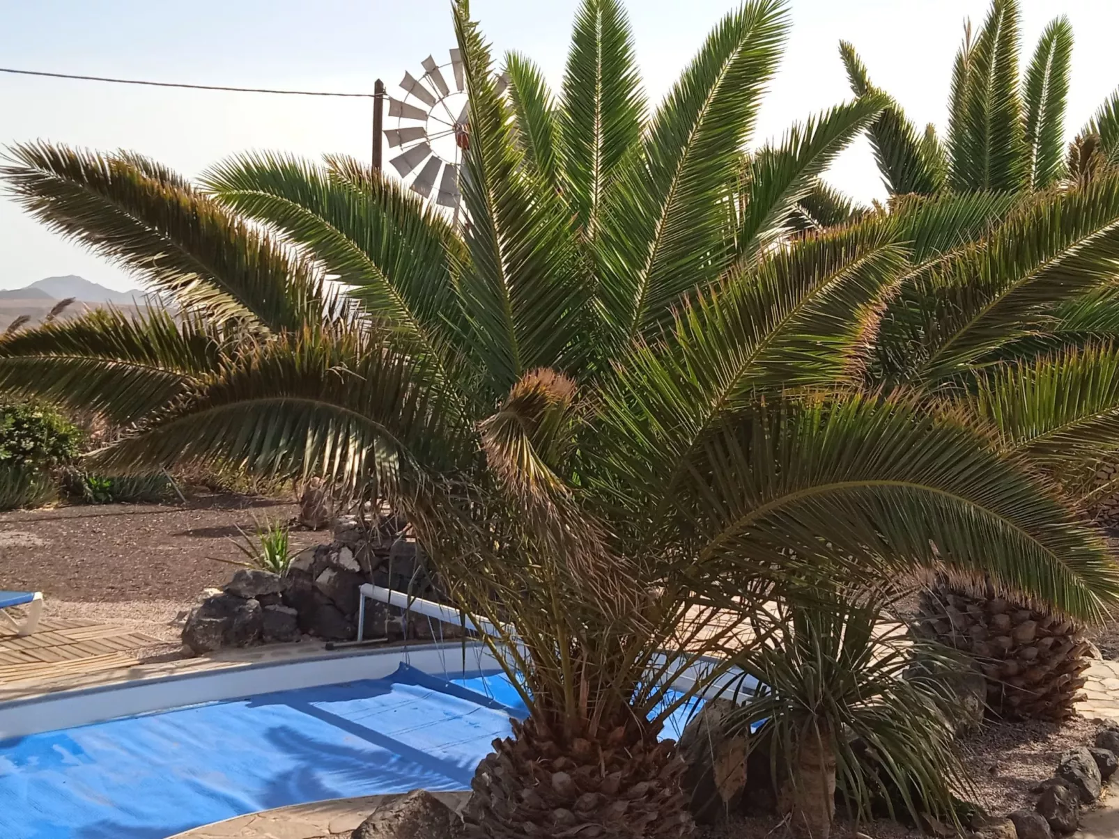 Kanarisches Haus mit privatem Pool und Garten-Outside