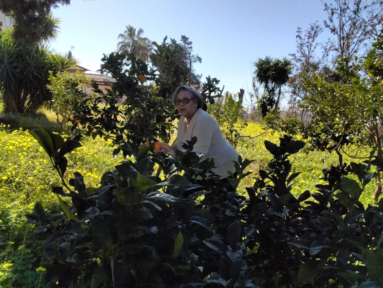 Ferienvilla mit Wasserblick-Image-tags.info