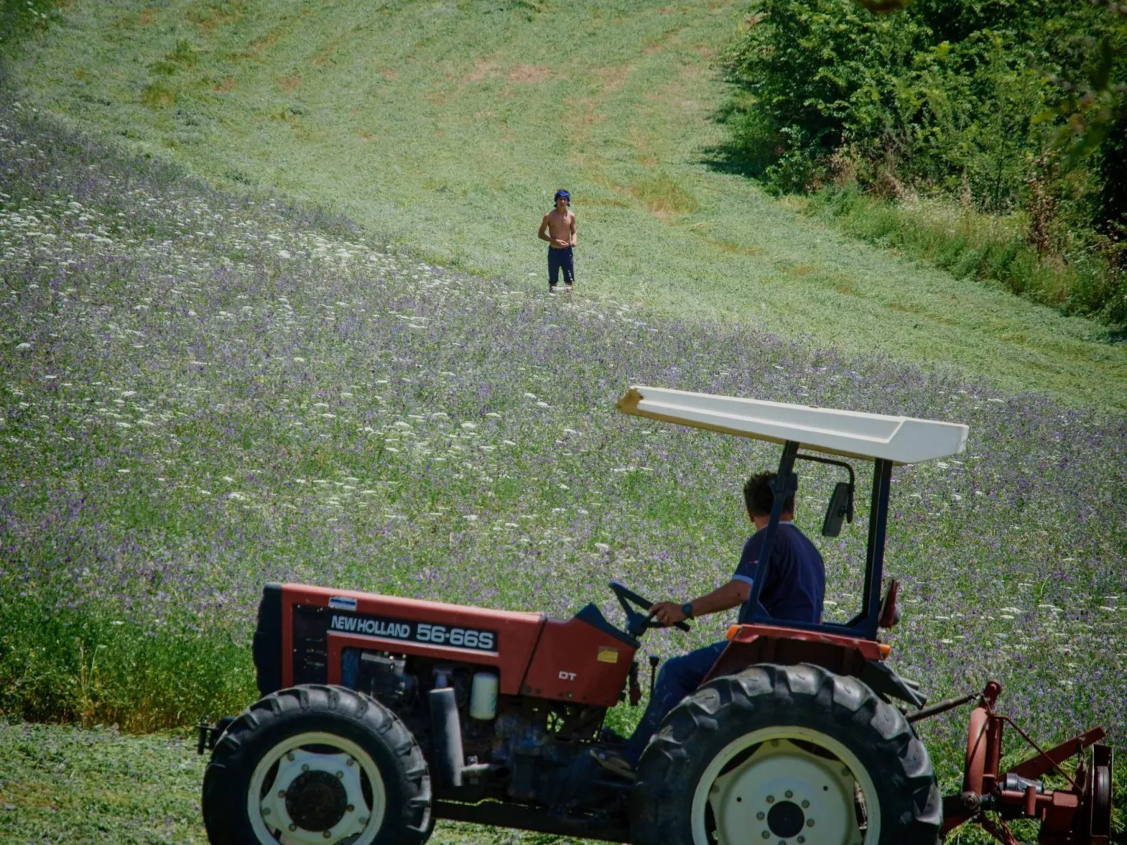 Il Melograno Panoramahaus