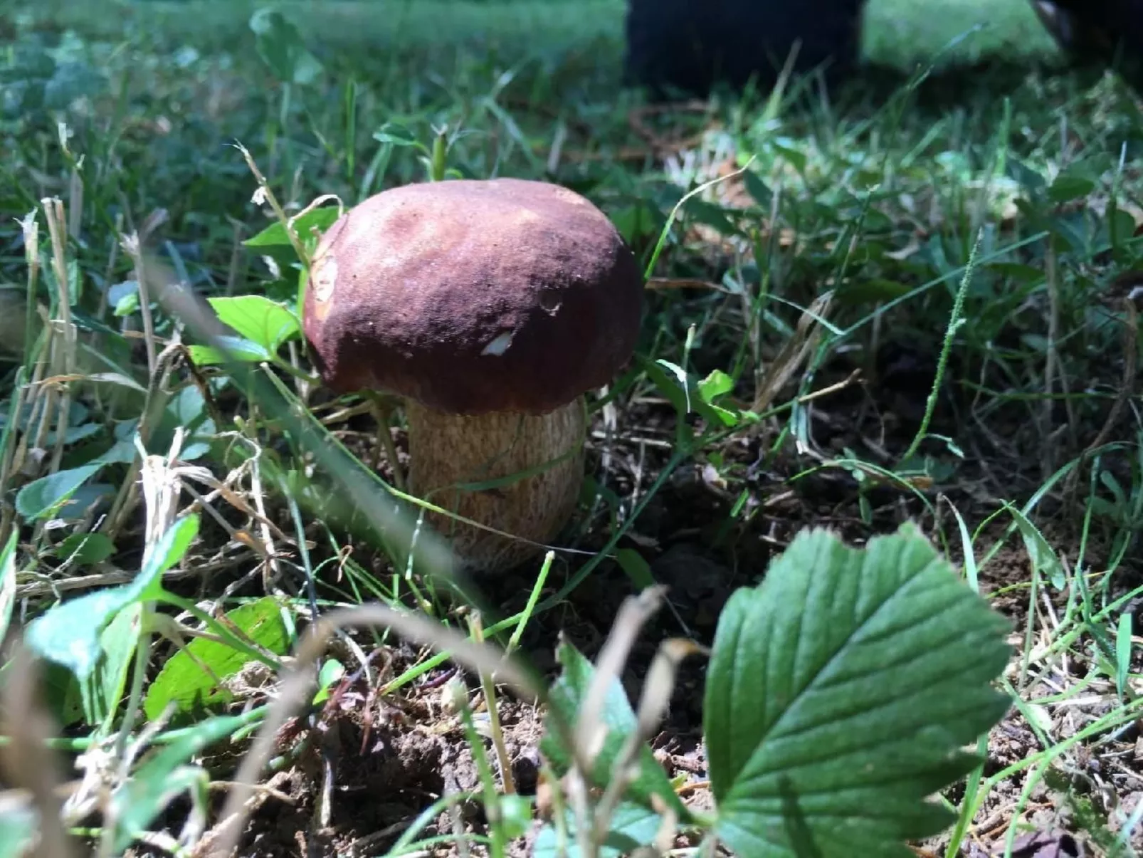 CasaMasa' Wohnung mit Bergblick-Outside