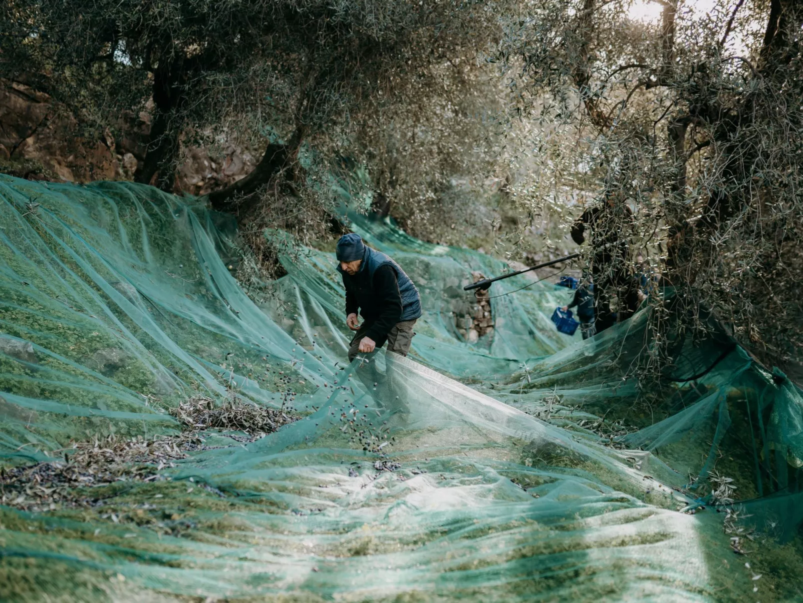 Wohnung mit schönem Blick auf den Golf von Dianese-Dehors