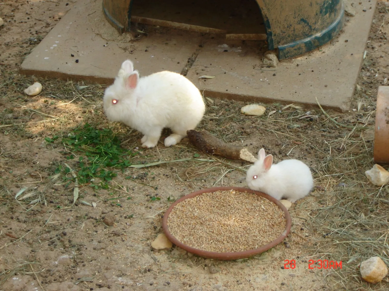 Mit großer Terrasse