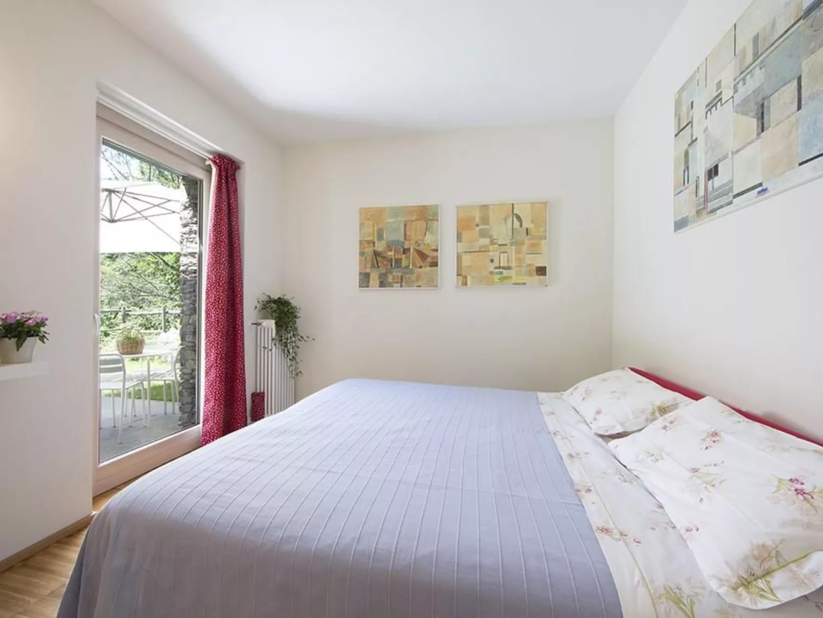 Lampone in San Bernardino Verbano