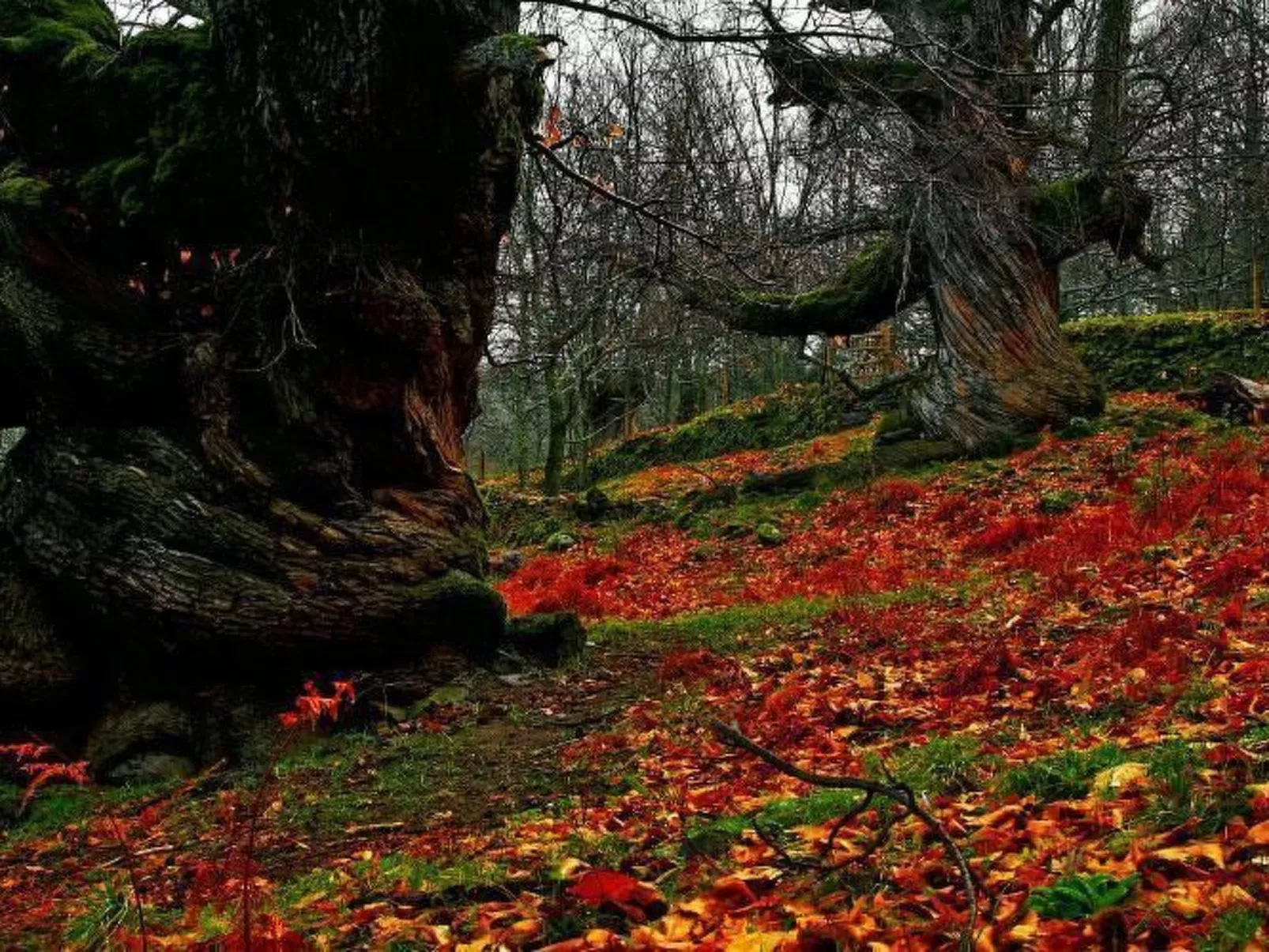 Ideales Refugium in Extremadura Komfort und Natur-Outside