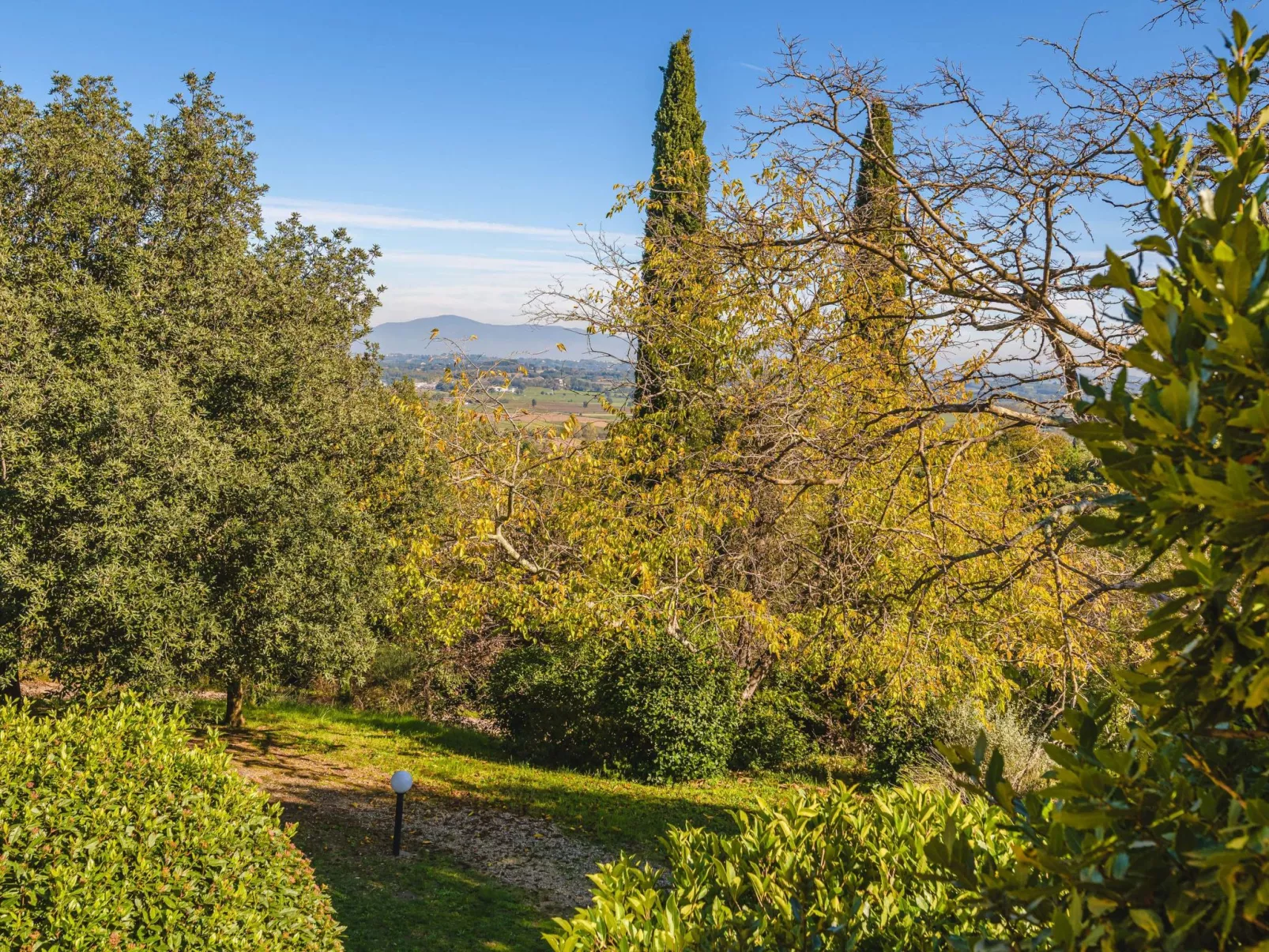 Podere Mencoini Elegante Villa mit Pool und Olivenbäumen-Outside