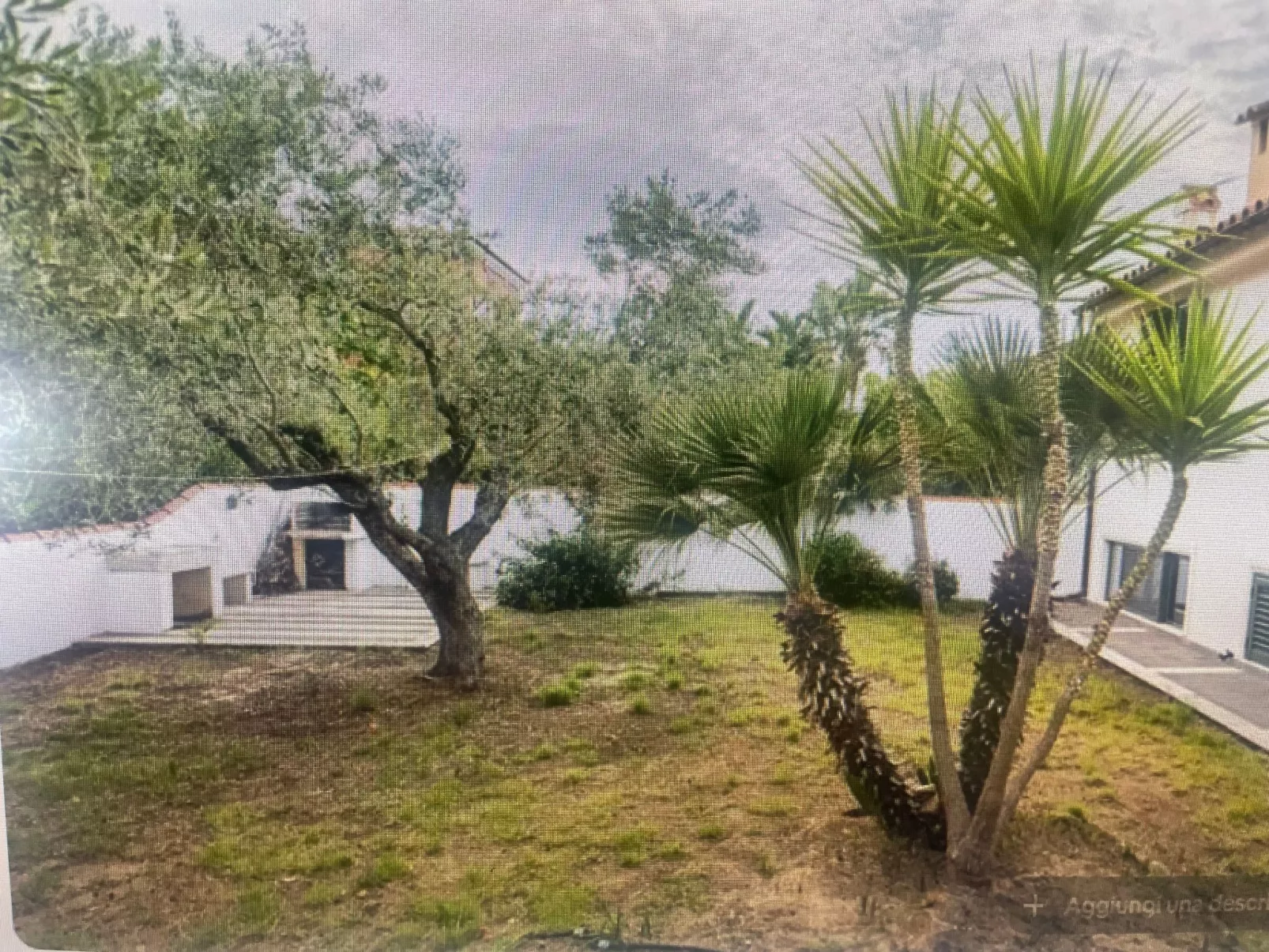 Haus der Oliven-Outside