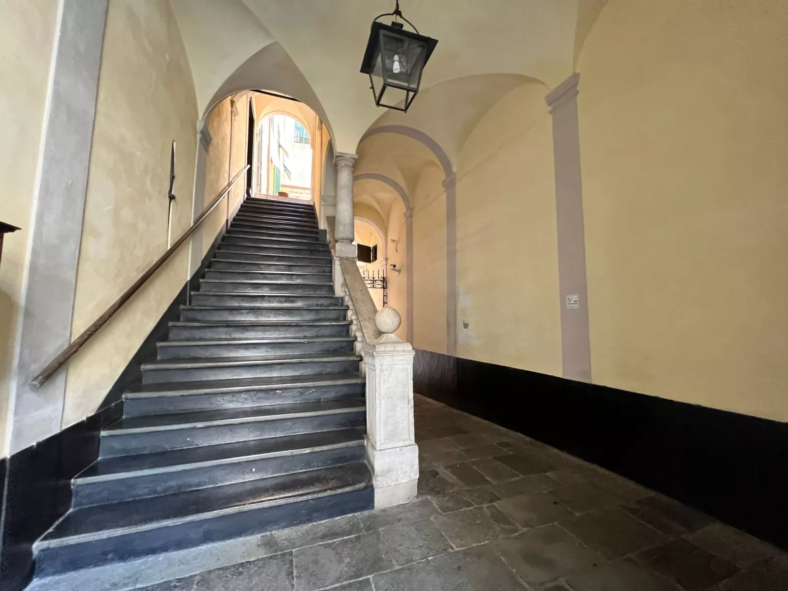 'Doge Antonino' mit Wi-Fi-Outside