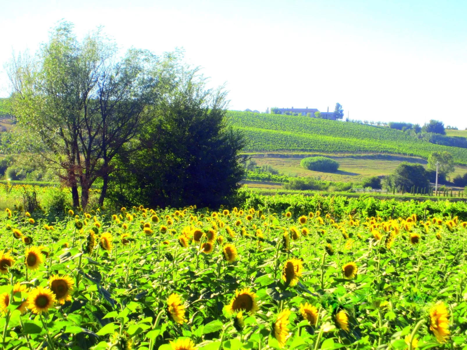 Anwesen mit Gemeinschaftspool