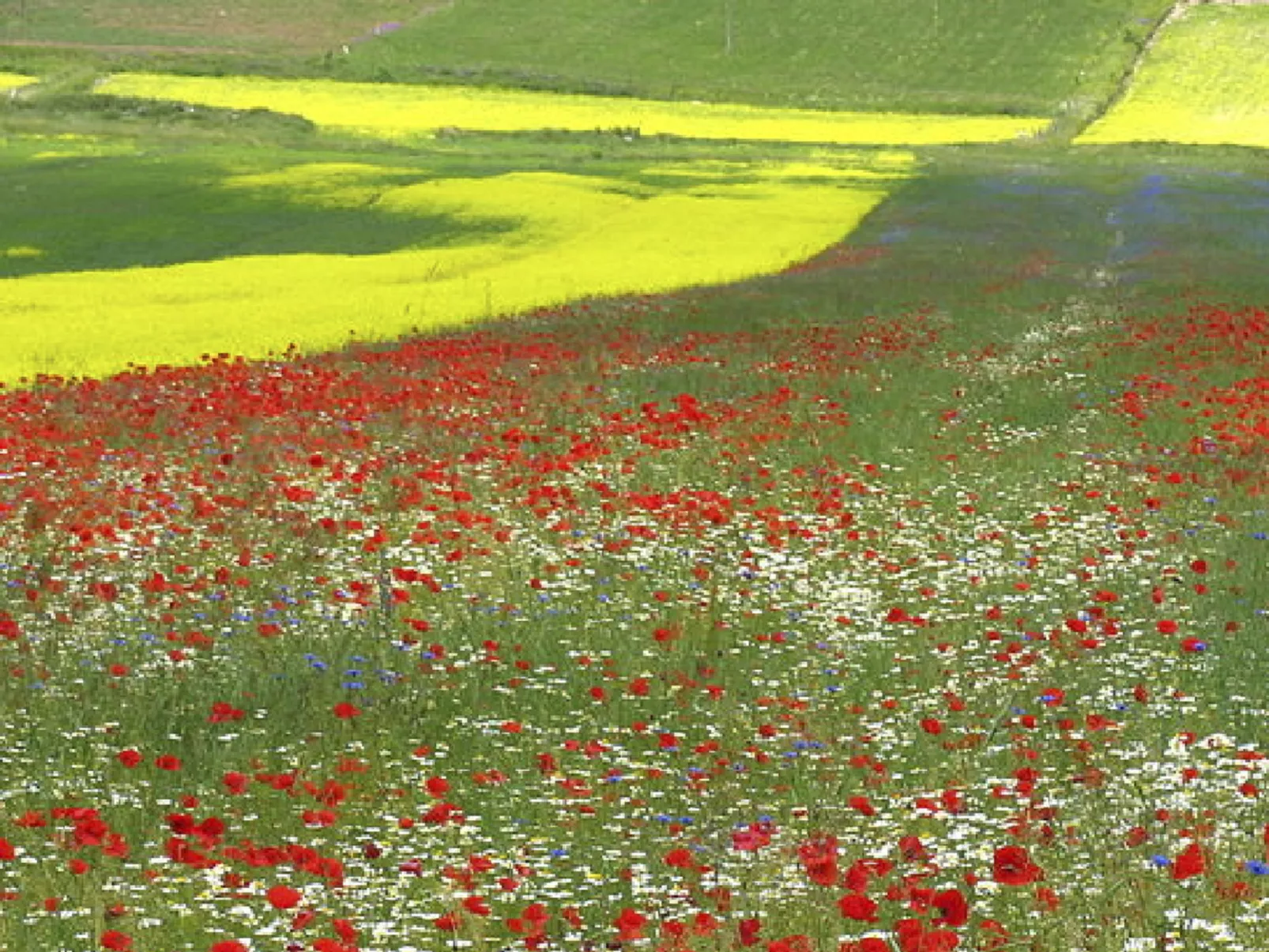 Privates Poolhaus im grünen Herzen von Umbrien-Dehors