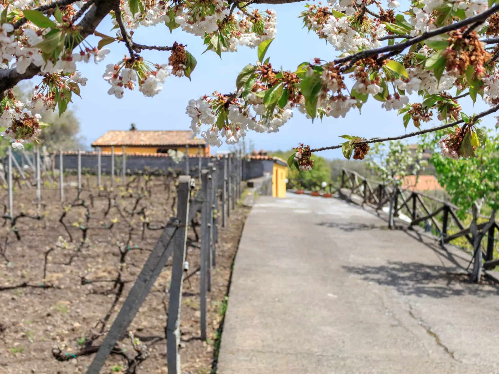 Cottage mit Whirlpool