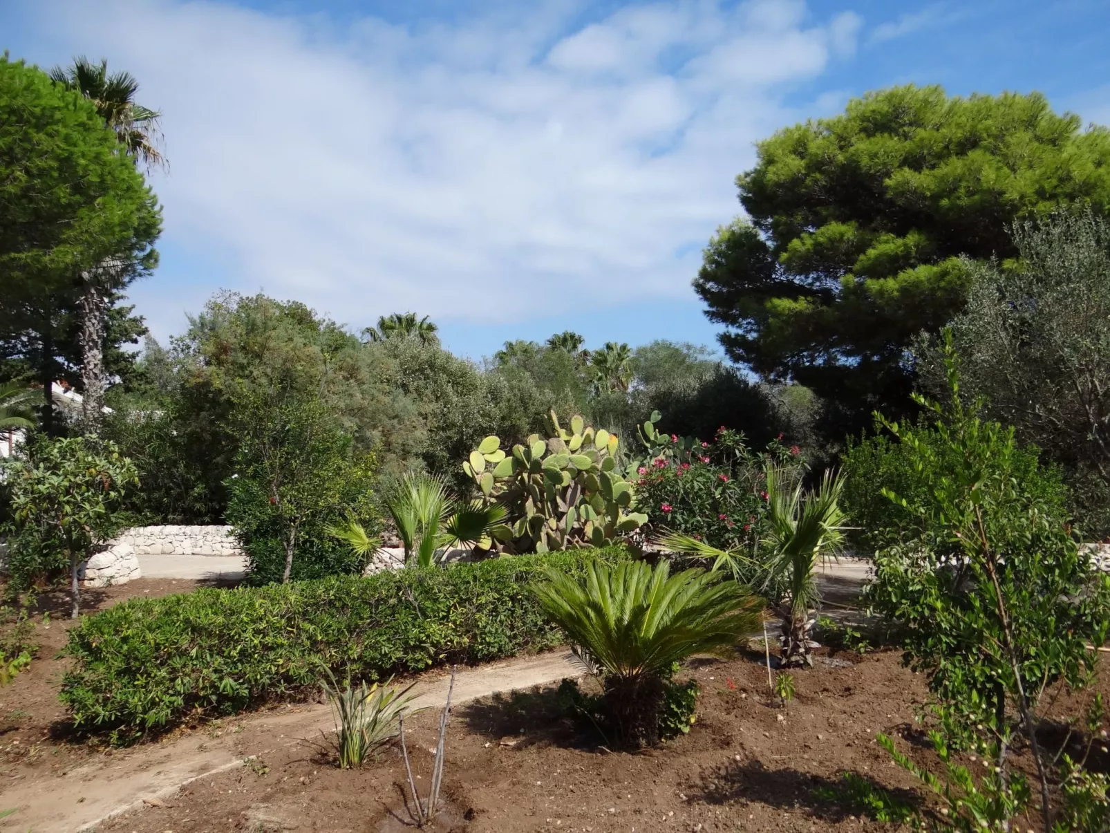 Mit grosser Terrasse direkt am Meer