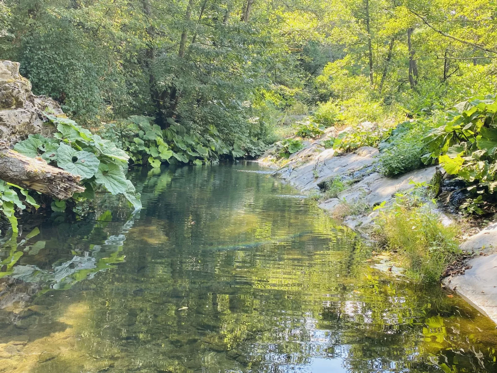 Villa in Borgomaro mit privatem Parkplatz-Umgebung
