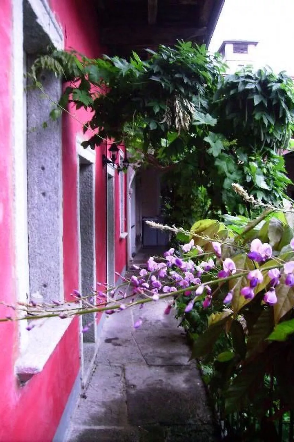 Wohnung 'Glicine' mit Wasserblick