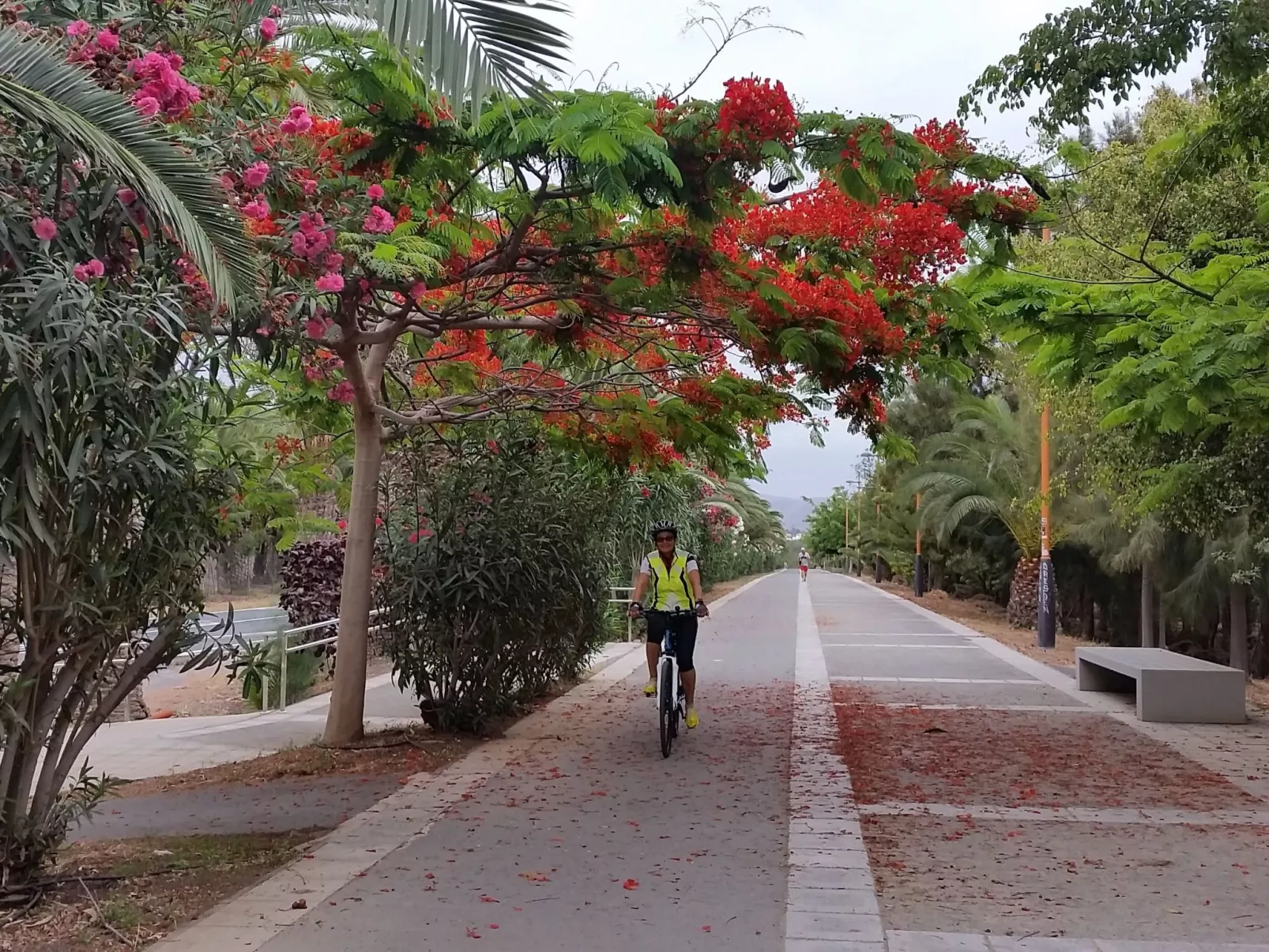 "Jandia" mit Wasserblick-Outside