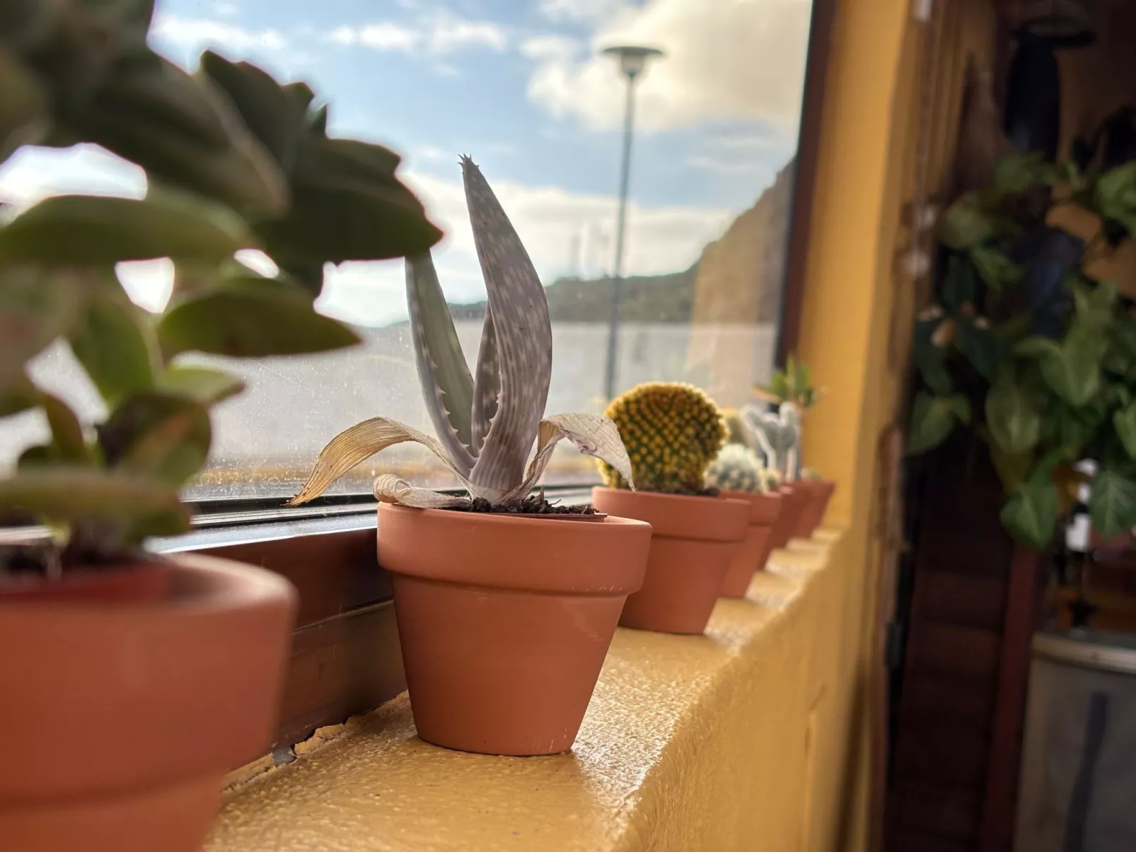 Haus mit beheiztem Schwimmbad, Berg- und Meerblick