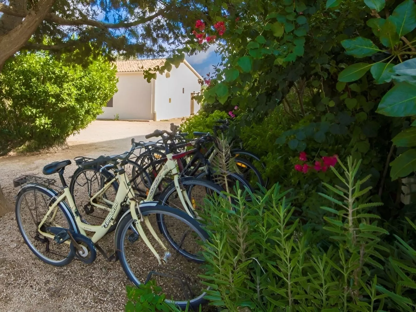 Großes Landhaus mit Schwimmbad in Meeresnähe-Draußen