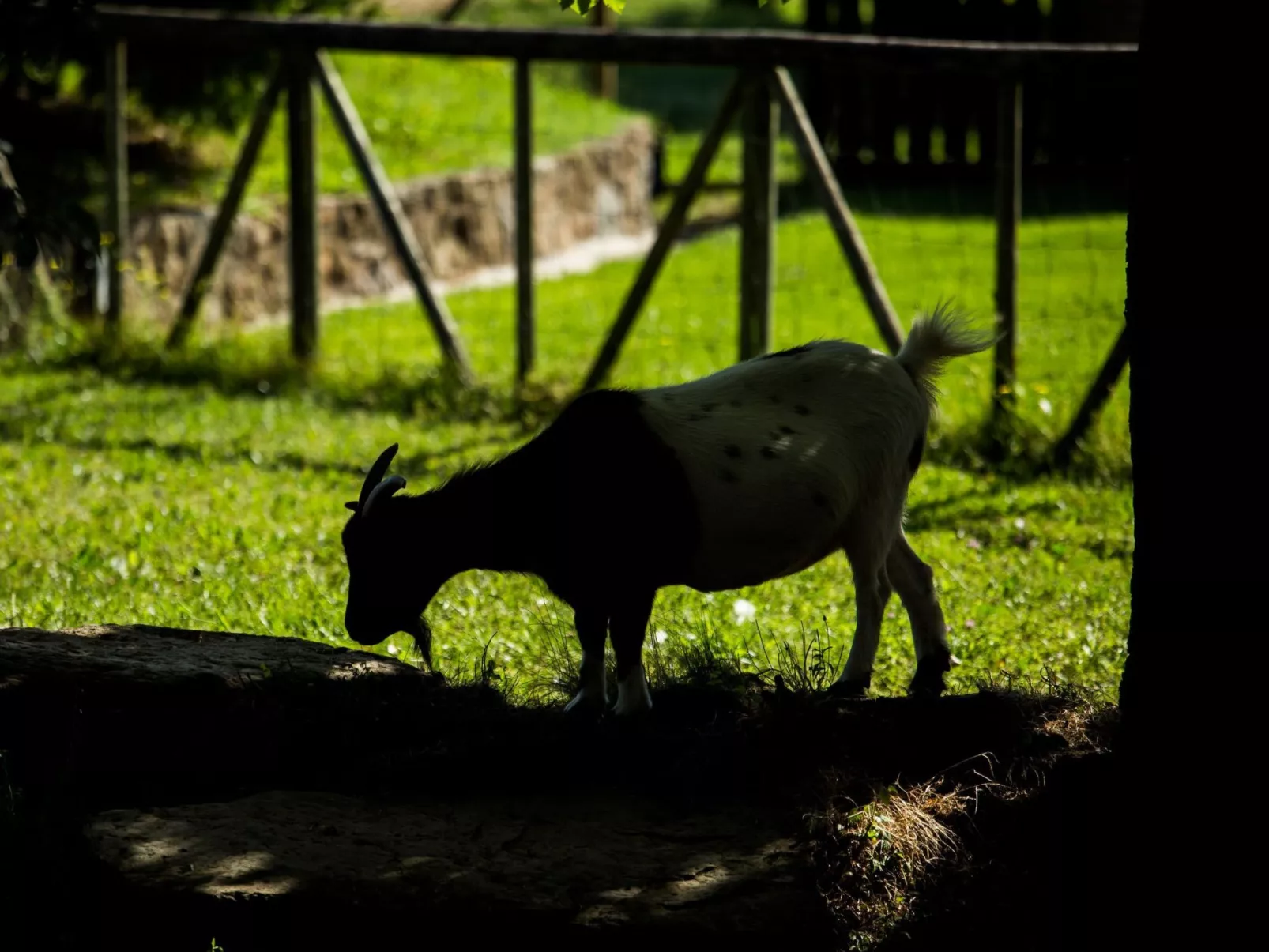 Wohnung "El Corral" mit Terrasse-Draußen