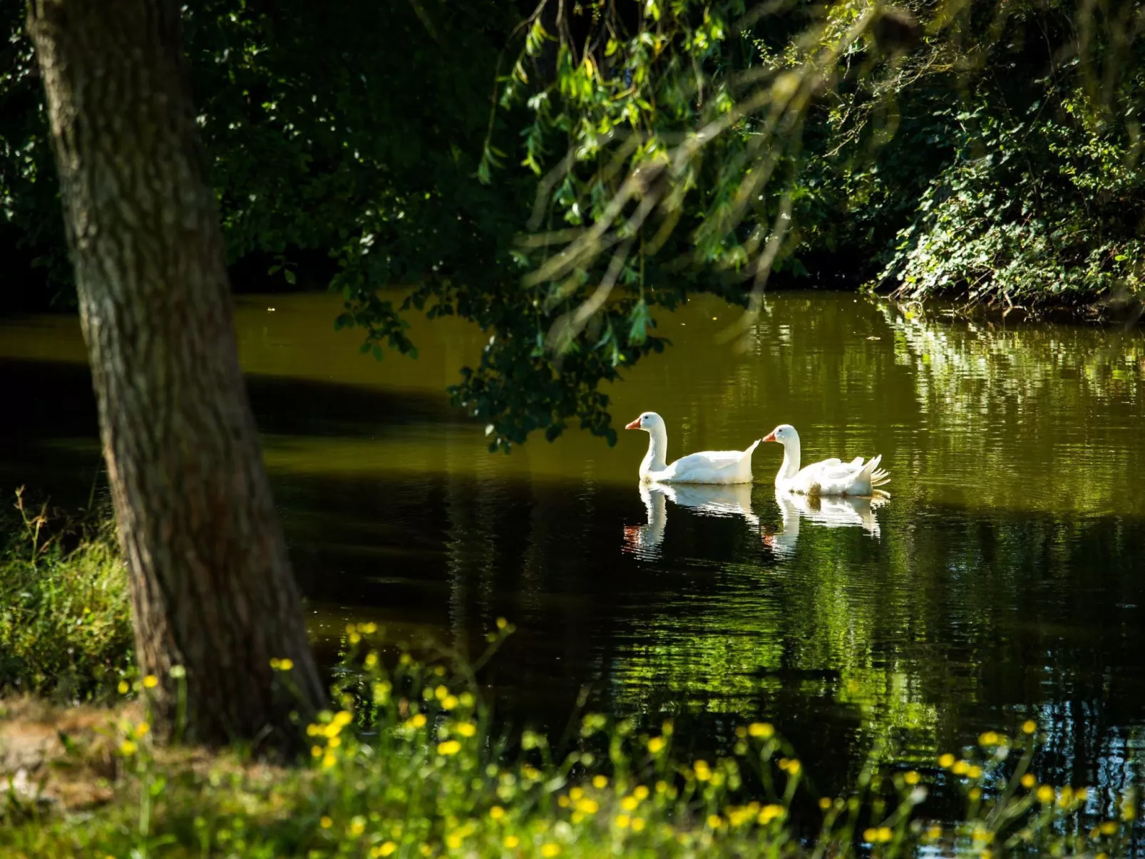 "Cobert del Carro".-Outside