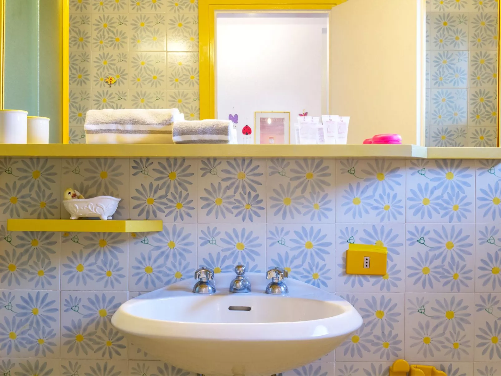 Sea Life in Taormina