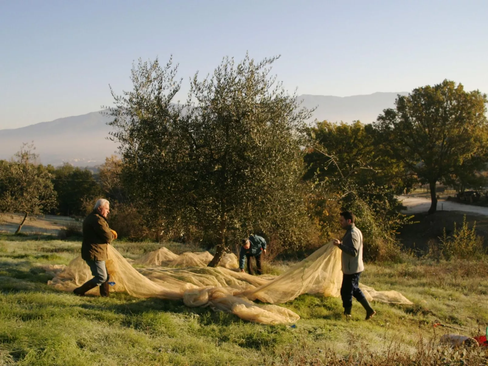 Anwesen "Frantoio" mit Infinity-Pool-Outside