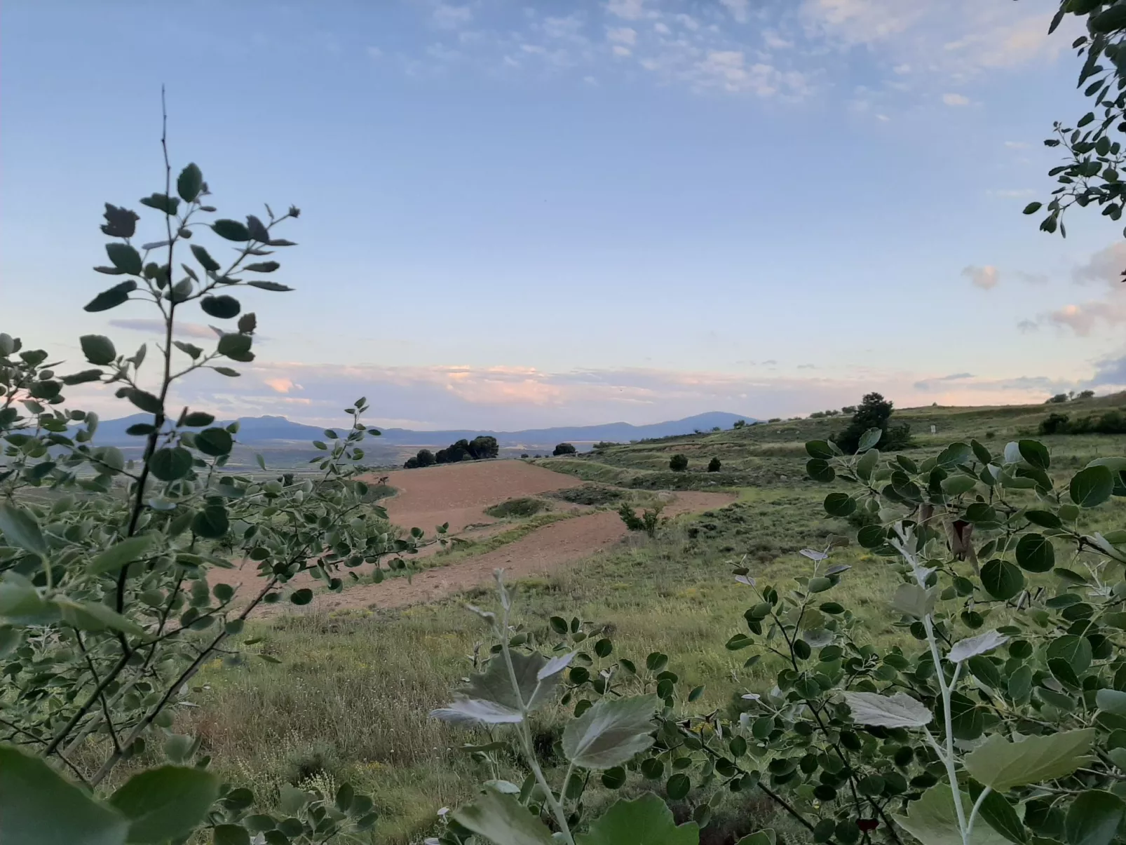 Landwohnung mit Bergblick-Outside