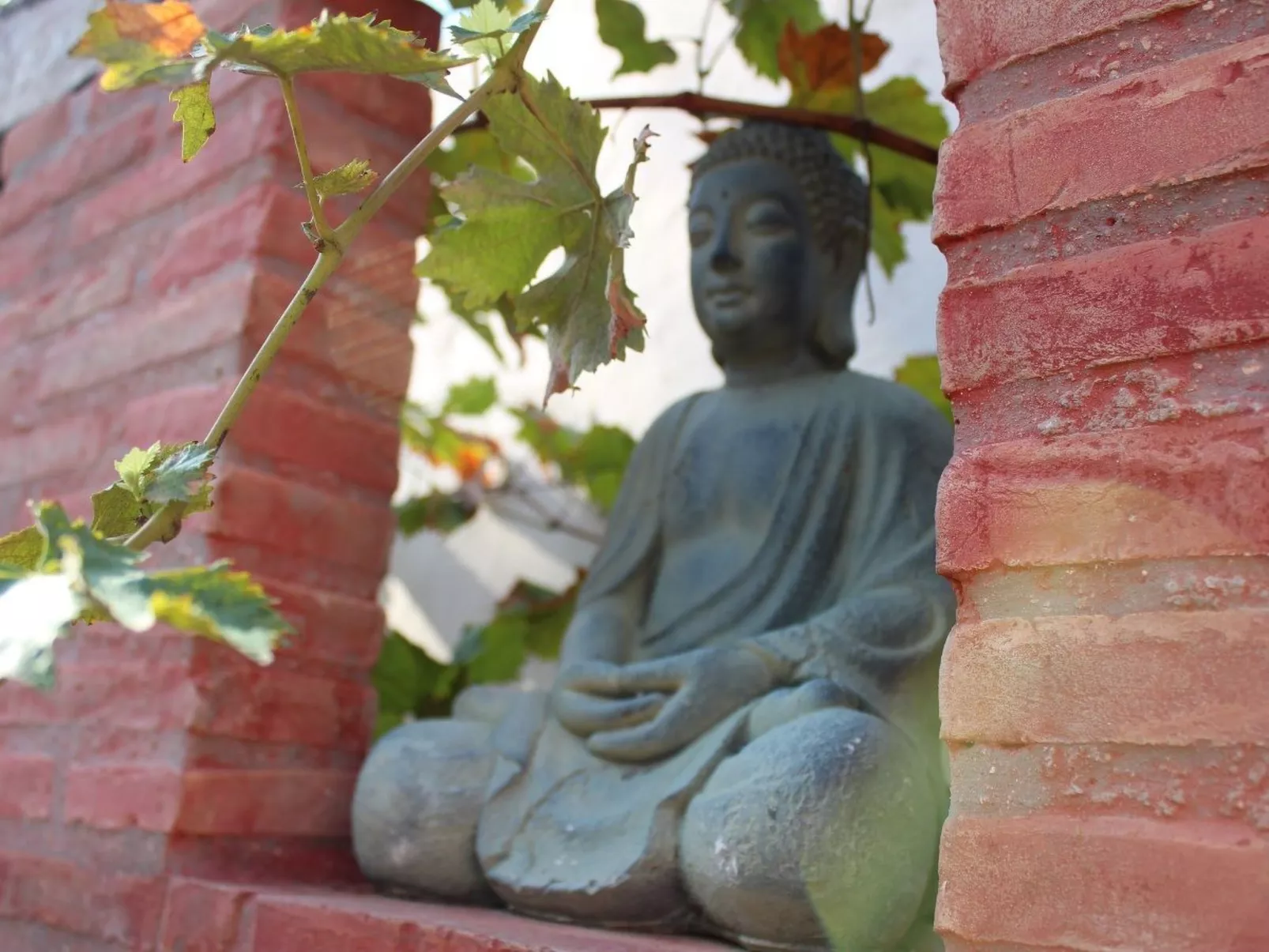 CASA LUCIA-Image-tags.info