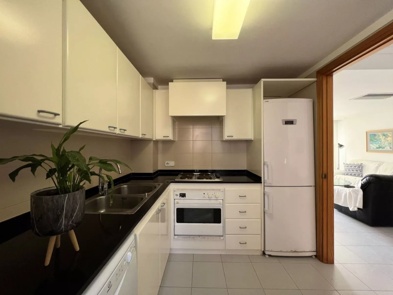 ISholidays Acron Puerto Pollensa-Image-tags.info