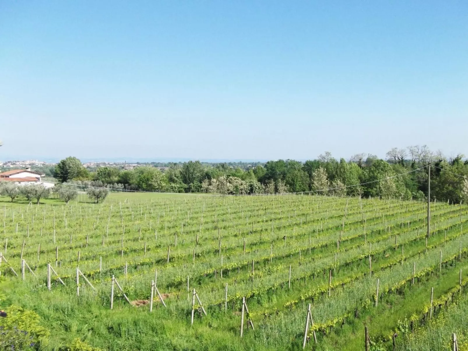 Villa Paradiso, 200 m² Ferienhaus