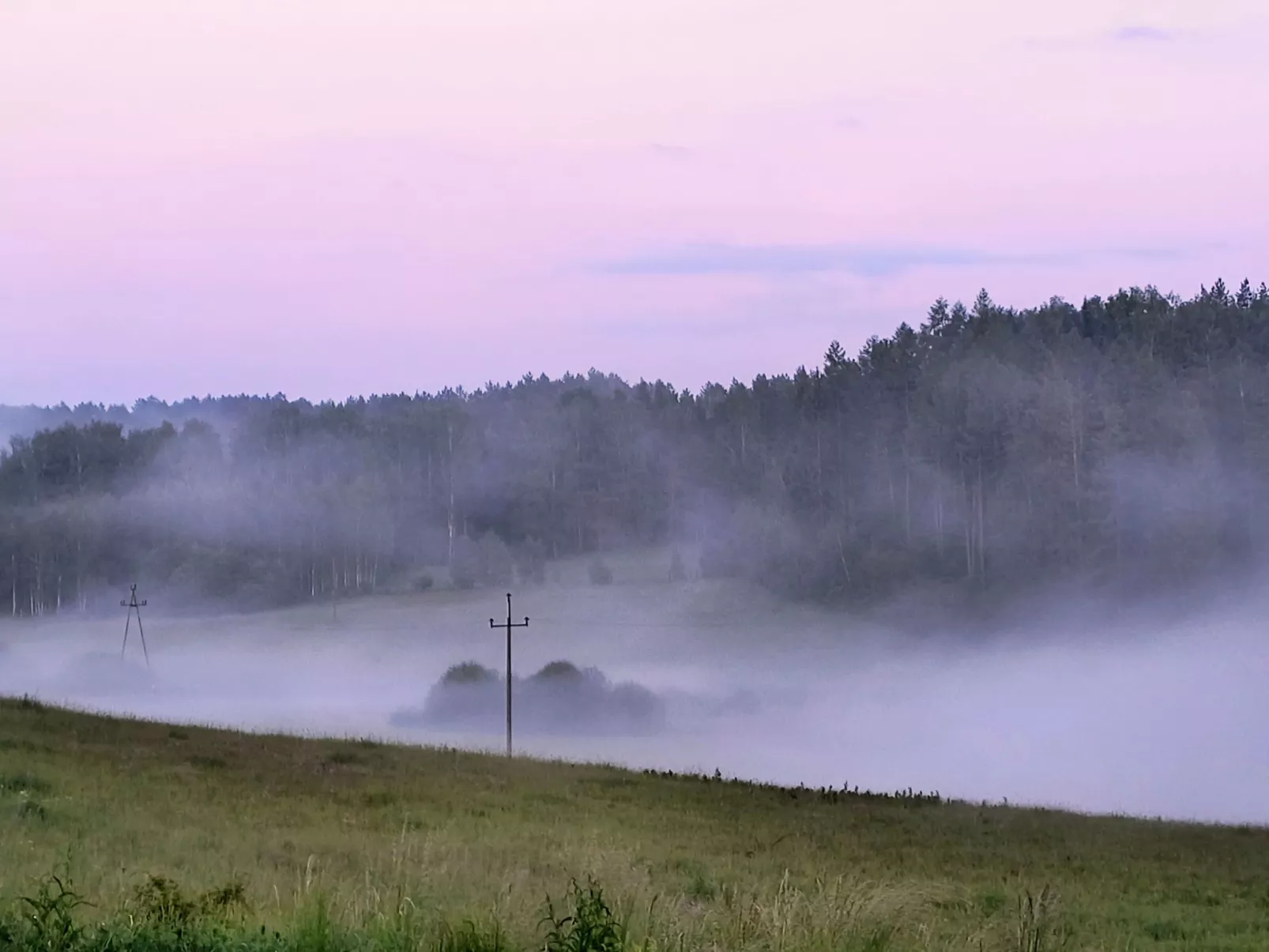 Vogelecke - abseits des Trubels und der Hektik-Image-tags.info