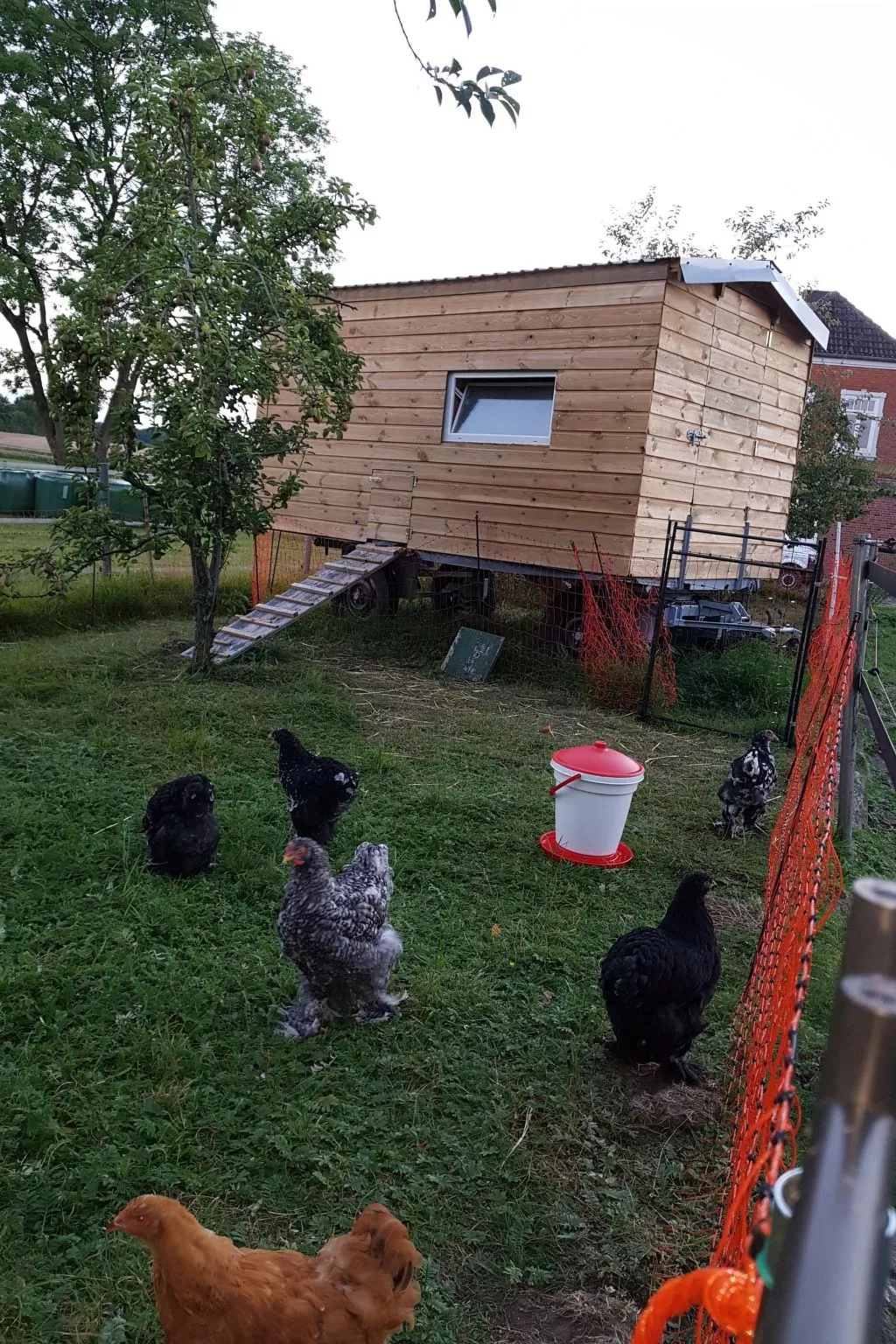 Westrich in guter Ausflugslage-Outside