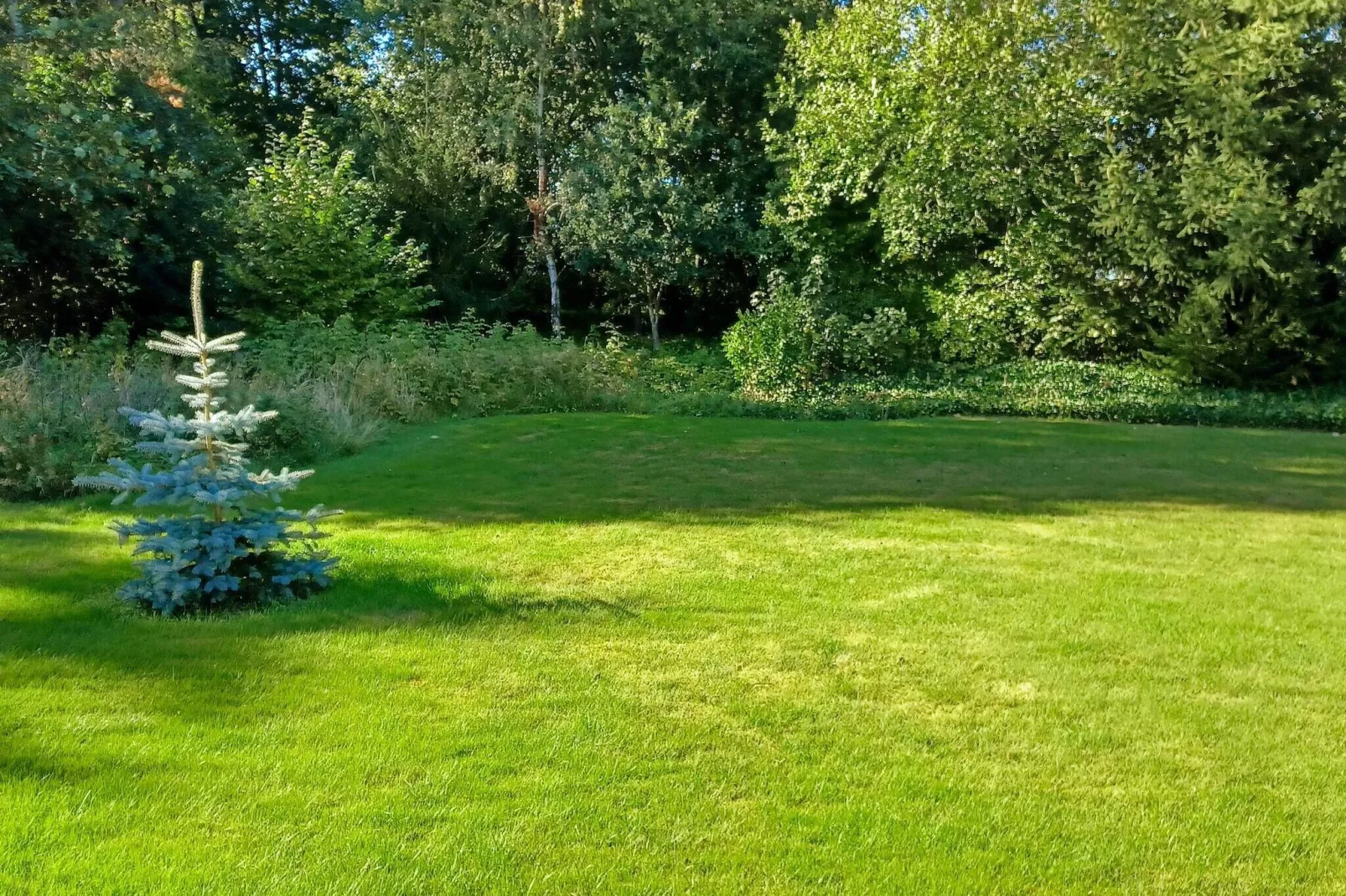 Maison de vacances pour 6 a Farsø-By Traum-Extérieur