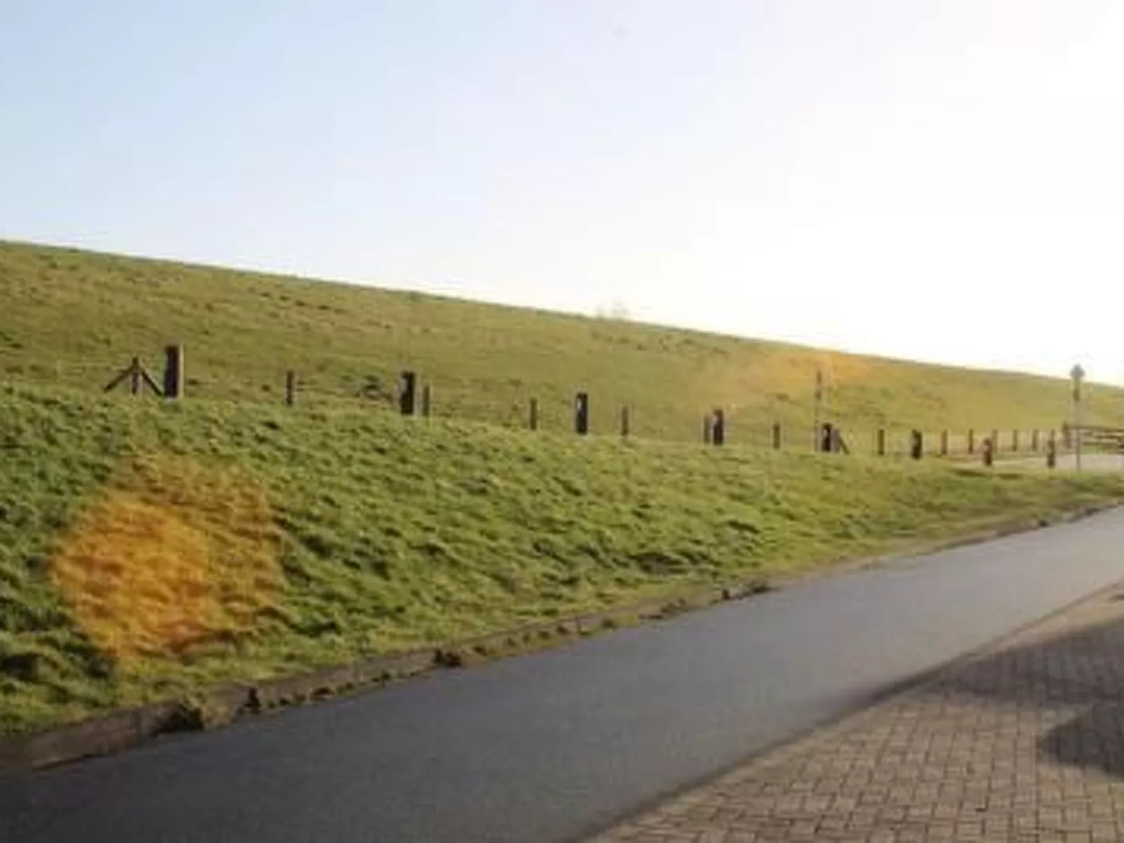 Wattwurm in Fedderwardersiel-Inside