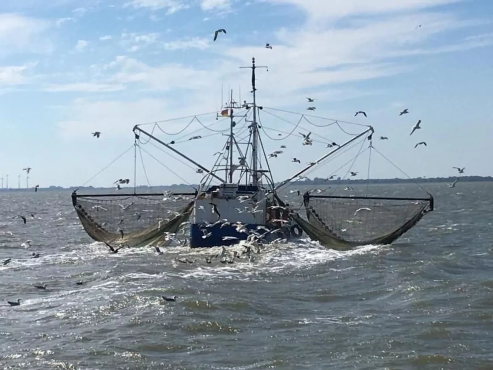 Deichhof Tossens-Inside