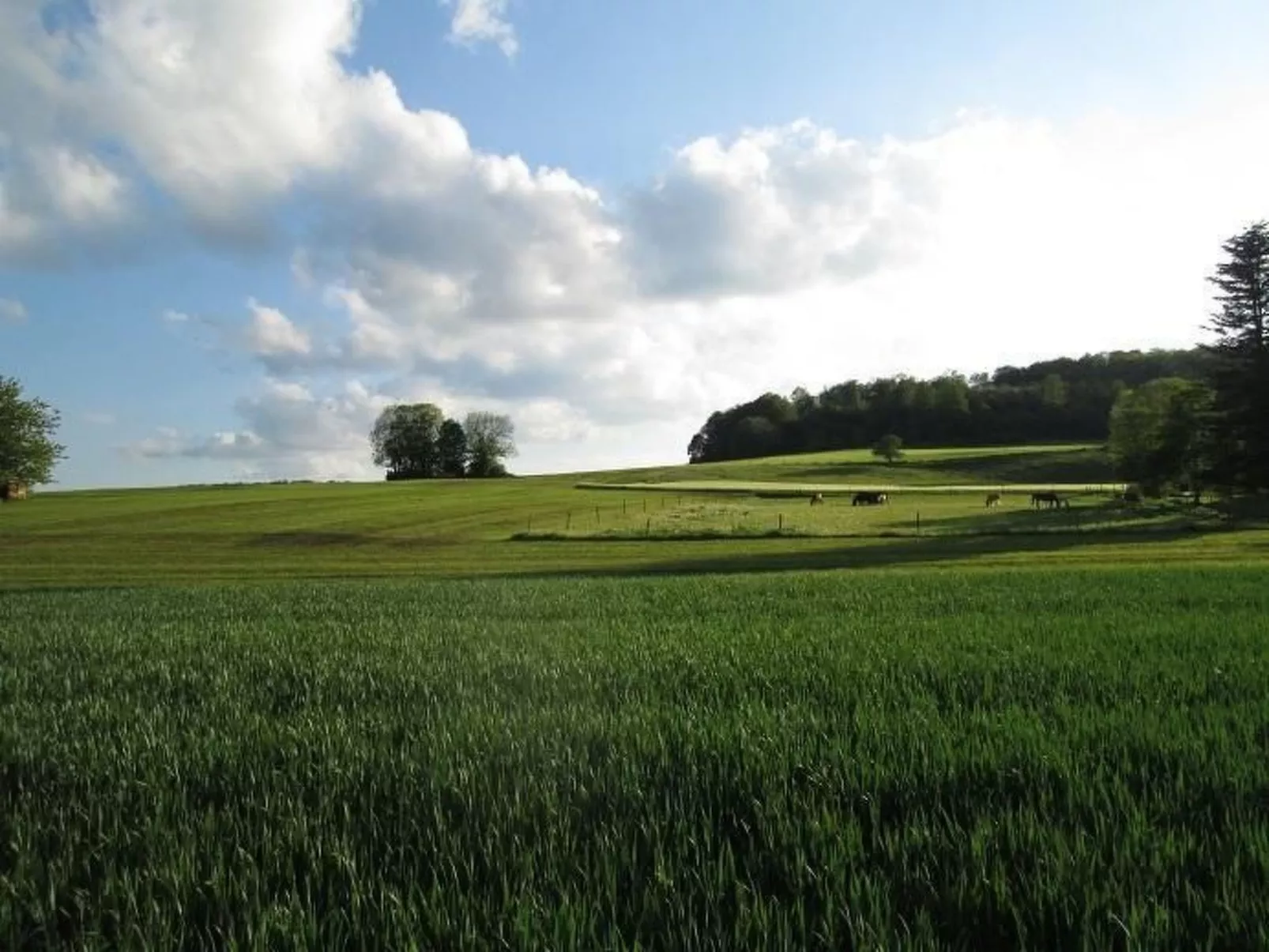 Wunderschönes Ferienhaus in Zainingen-Drinnen