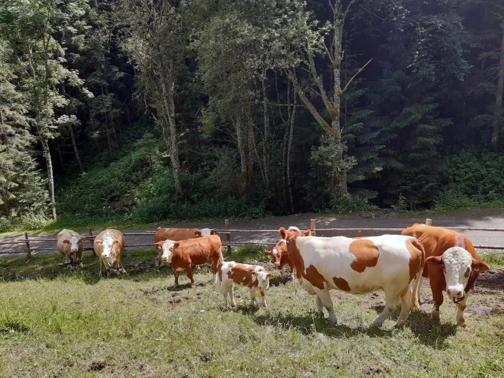 Teichhaus Simperle-Inside