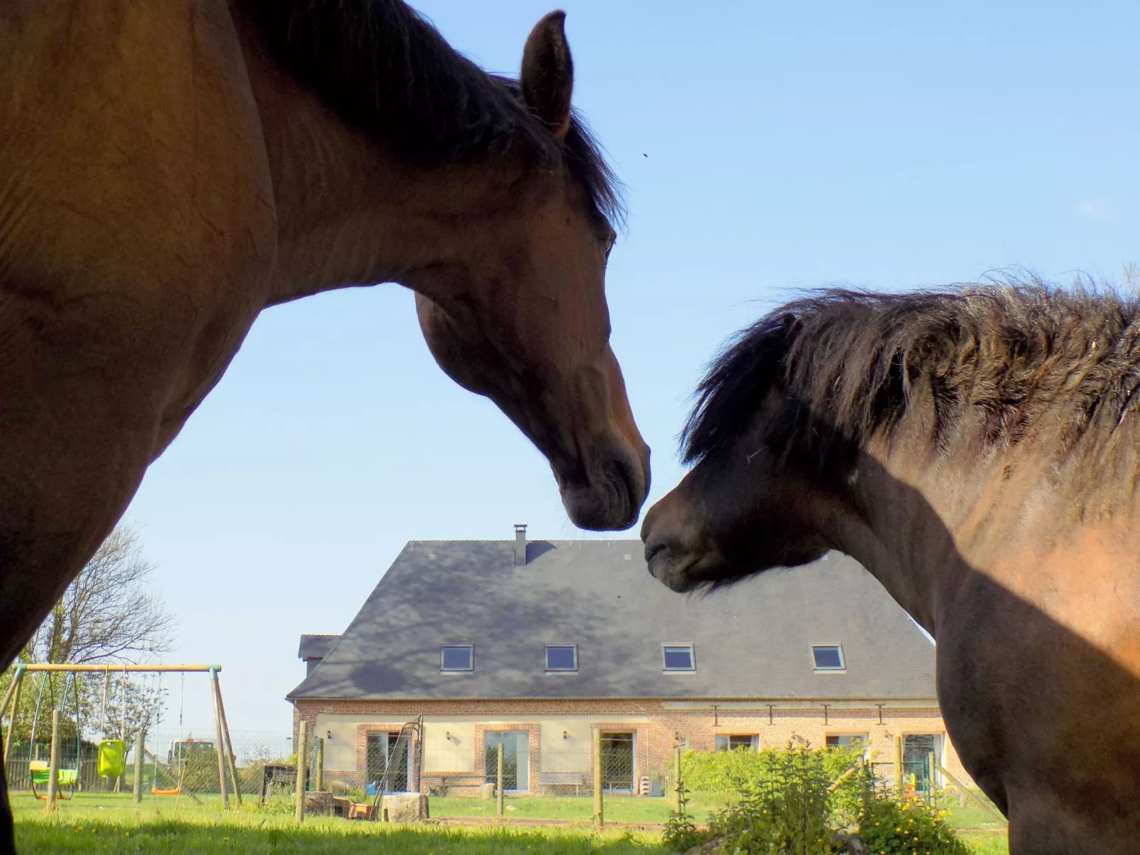 Für 8 Personen-Draußen