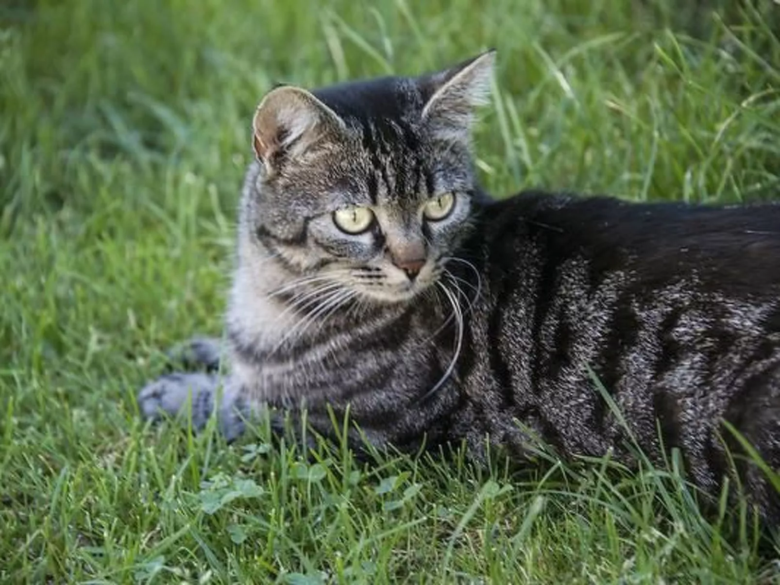 Berghof Hallau kleine Ferienwohnung-Drinnen