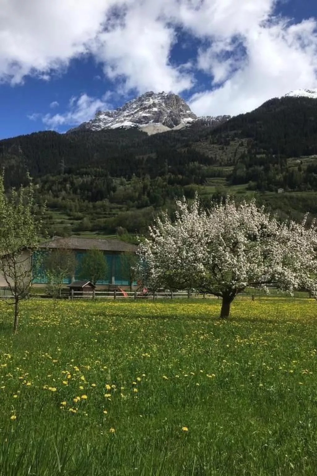 Wohnung mit Bergblick-Inside