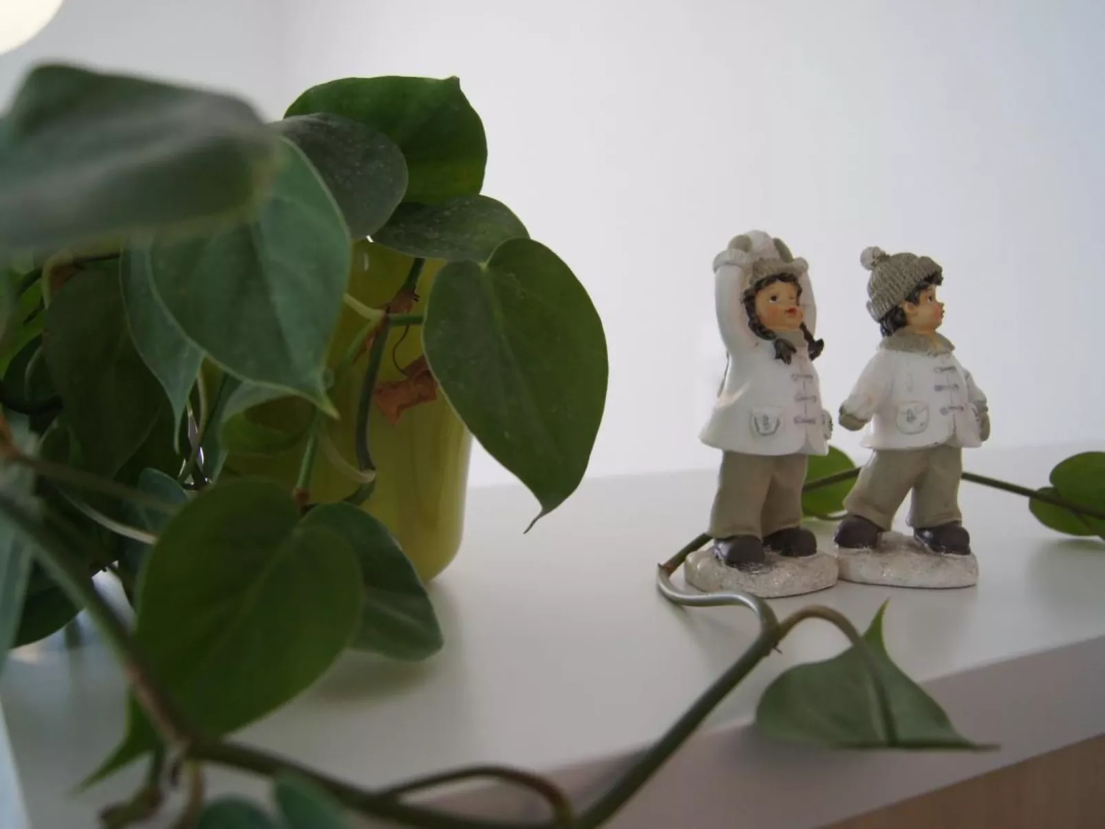 "Ferme d'Alma"-Dedans