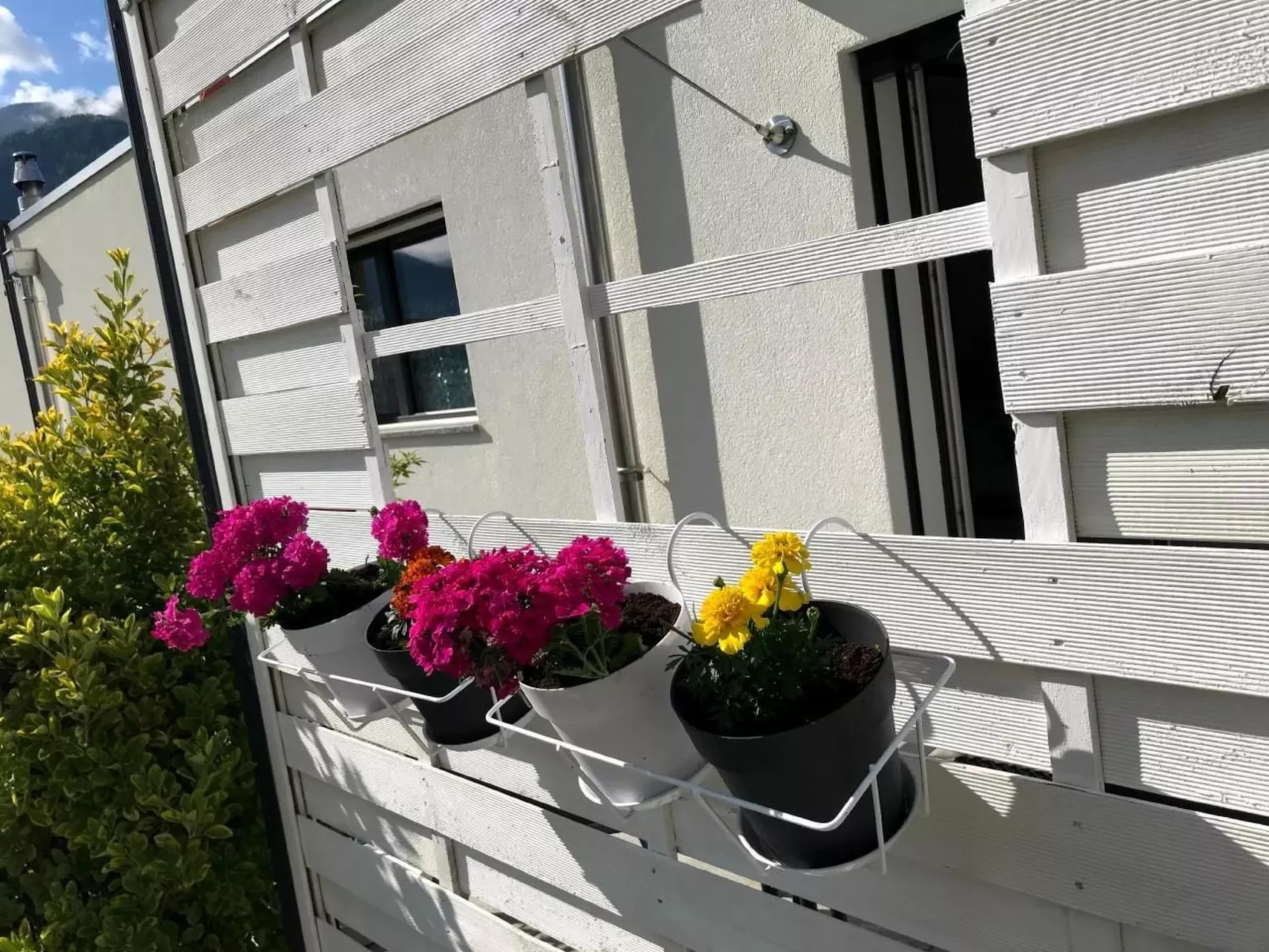 Guesthouse Petit Pré Studio ZEN-Dedans