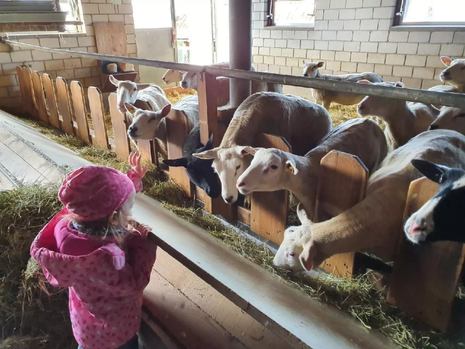 Ober-Tiefenbühl-Image-tags.info