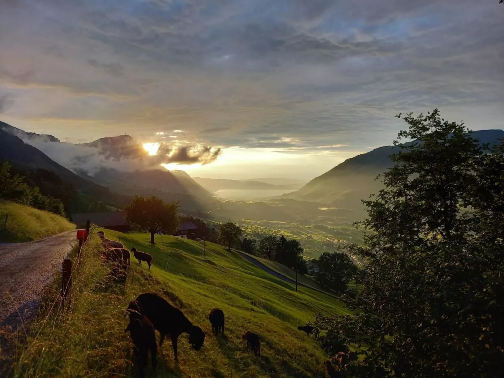 Biohof Langberg-Drinnen