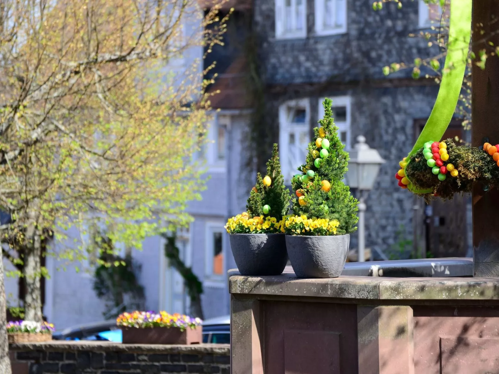 Amöneburg in Amöneburg-Dedans