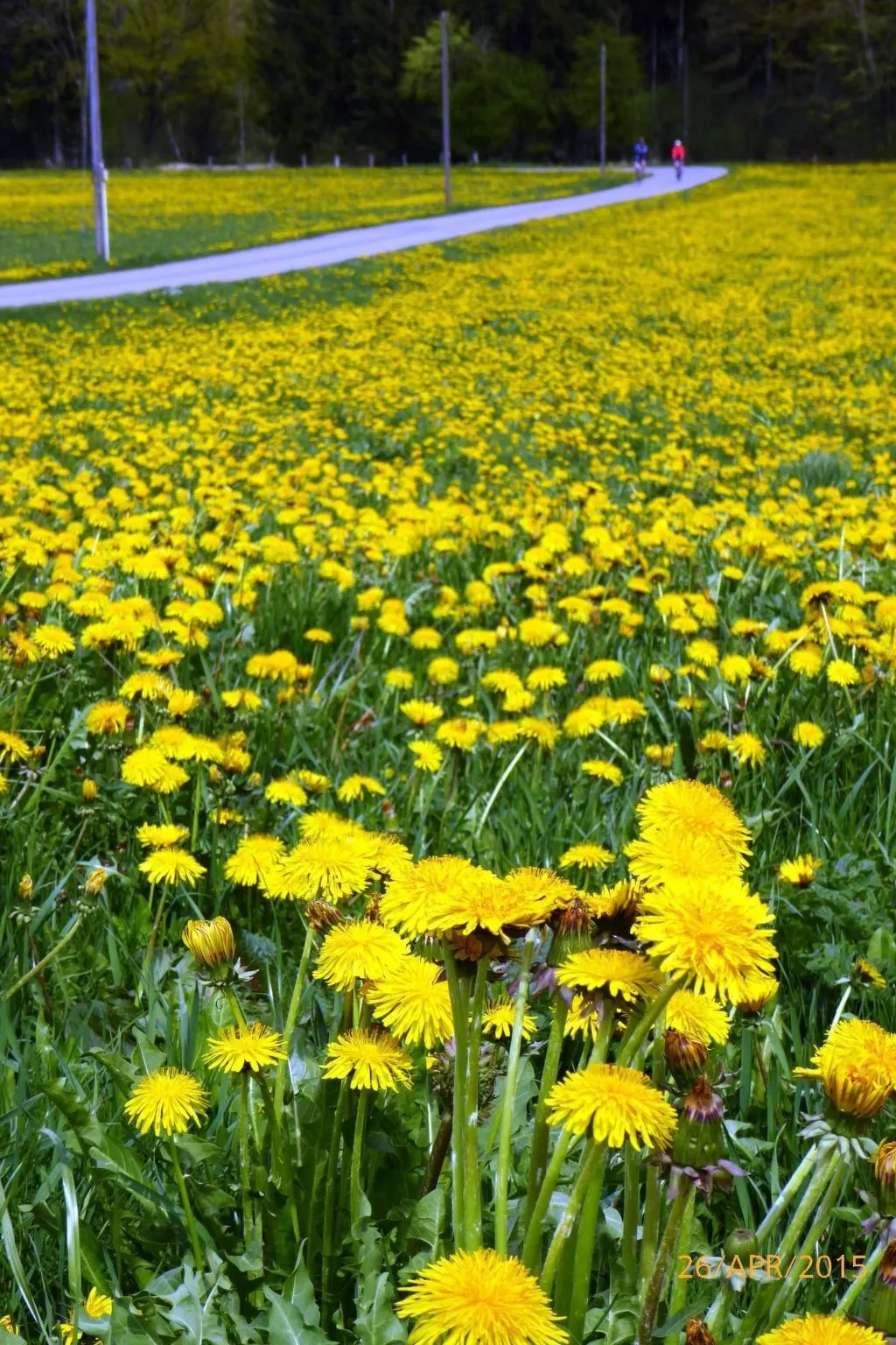Haus mit  freier Fahrradnutzung und kleinem Boot-Dehors
