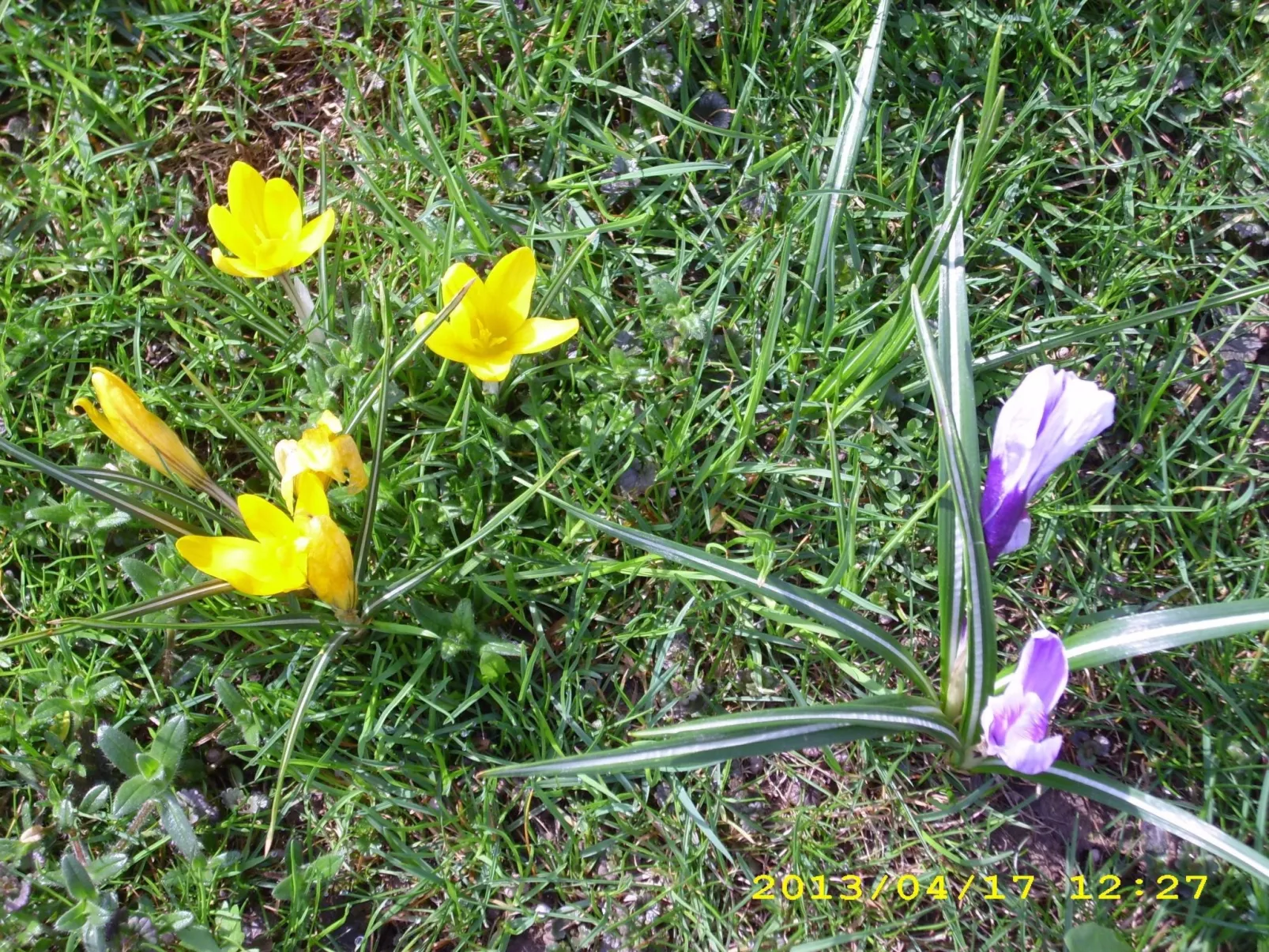 Wohnung in Oberwaldbach mit Garten und Grill-Drinnen