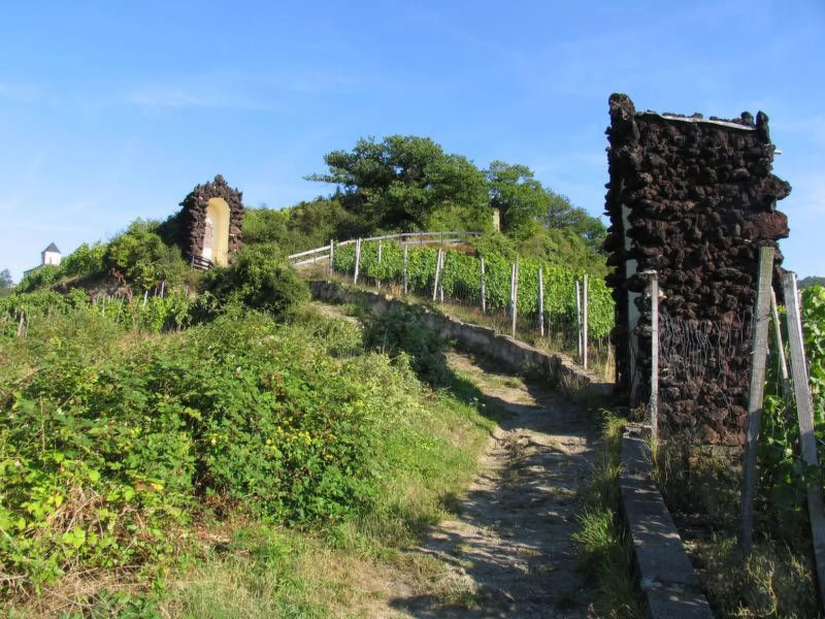 Weyerhof-Image-tags.info